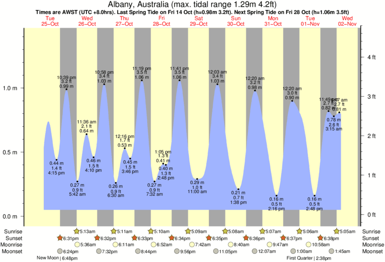 tide-times-and-tide-chart-for-albany