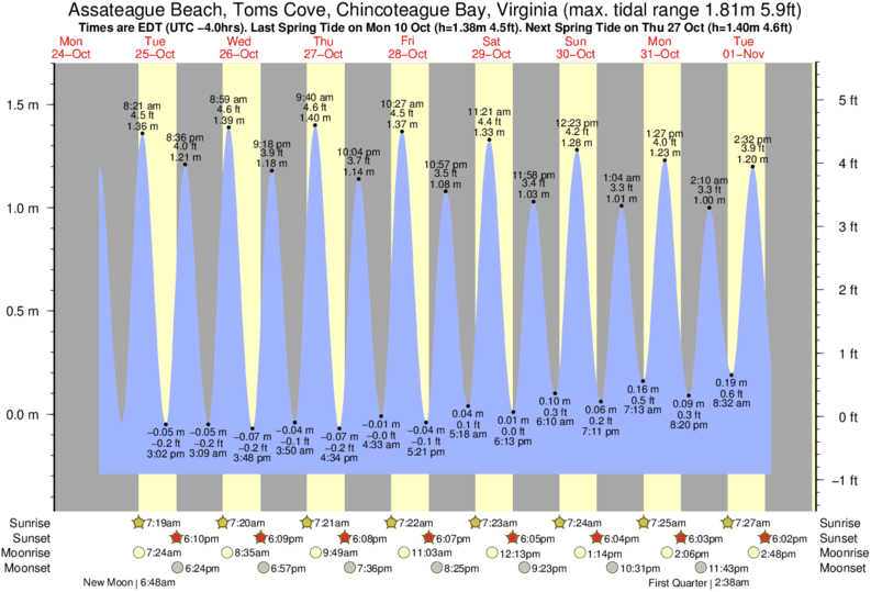 Tide Times and Tide Chart for Assateague Beach, Toms Cove, Chincoteague Bay