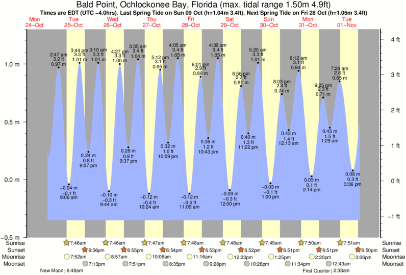 Tide Times and Tide Chart for Bald Point, Ochlockonee Bay