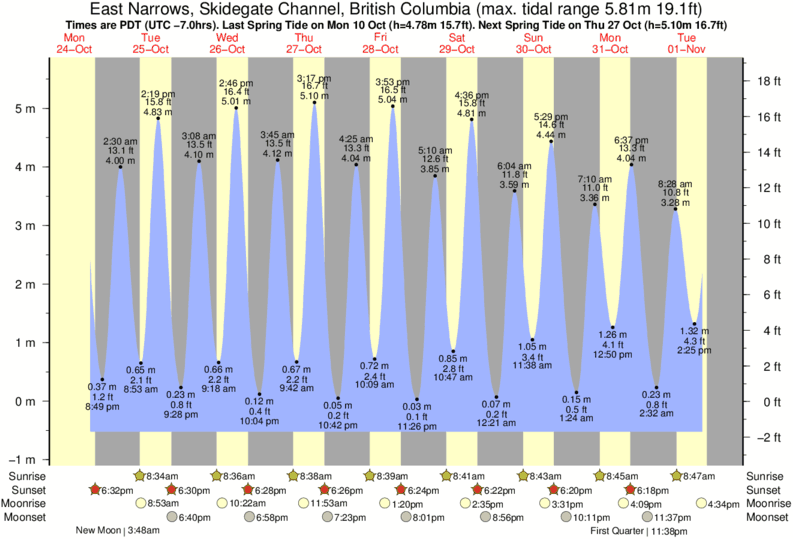 Tide Times and Tide Chart for East Narrows, Skidegate Channel