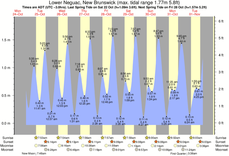 Tide Times and Tide Chart for Lower Neguac