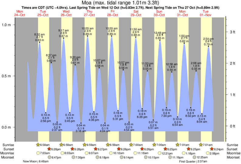 Tide Times and Tide Chart for Moa