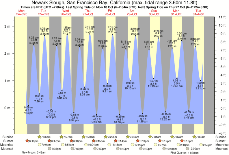 Tide Times and Tide Chart for Newark
