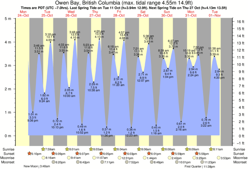 Tide Times and Tide Chart for Owen Bay