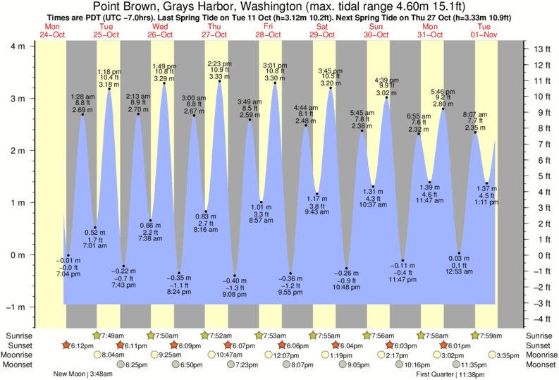 tide-times-and-tide-chart-for-point-brown-grays-harbor