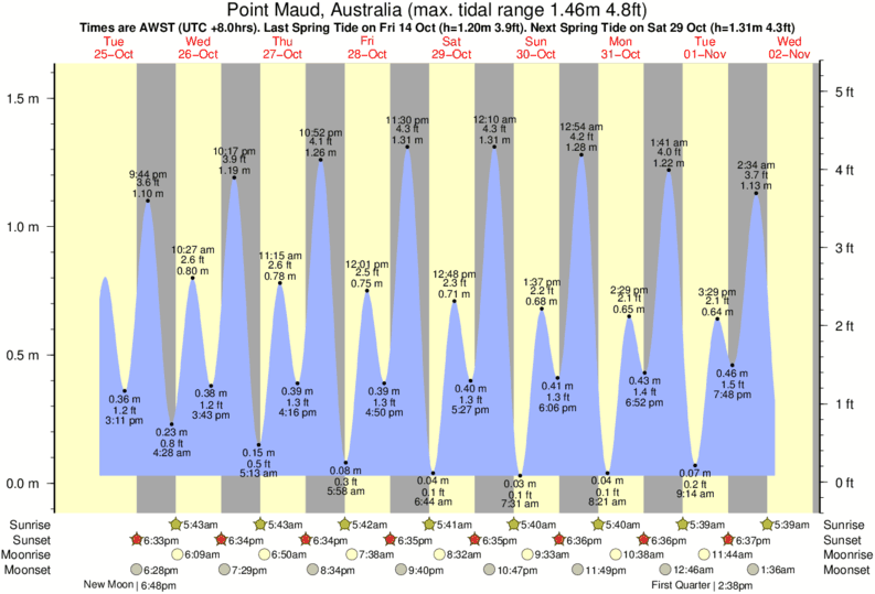 Tide Times and Tide Chart for Point Maud
