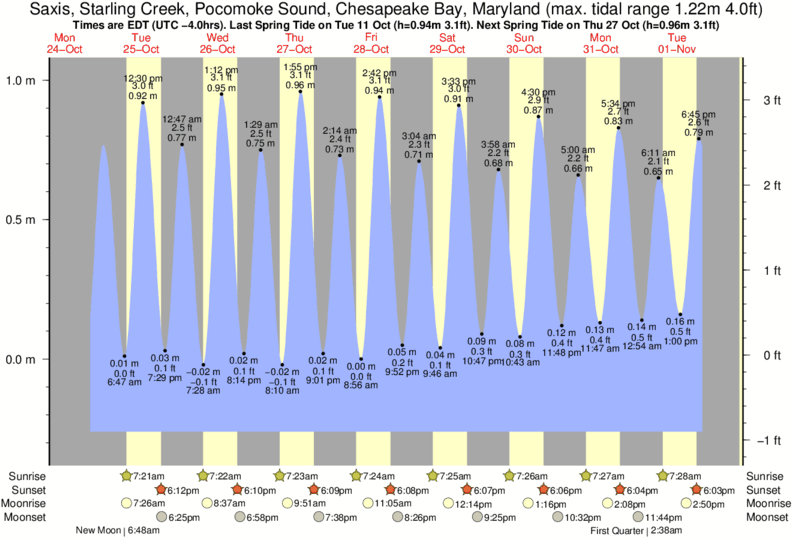 Tide Times and Tide Chart for Saxis, Starling Creek, Sound