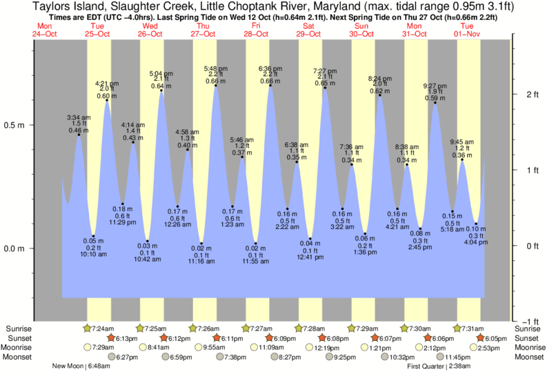 Tide Times and Tide Chart for Taylors Island, Slaughter Creek, Little