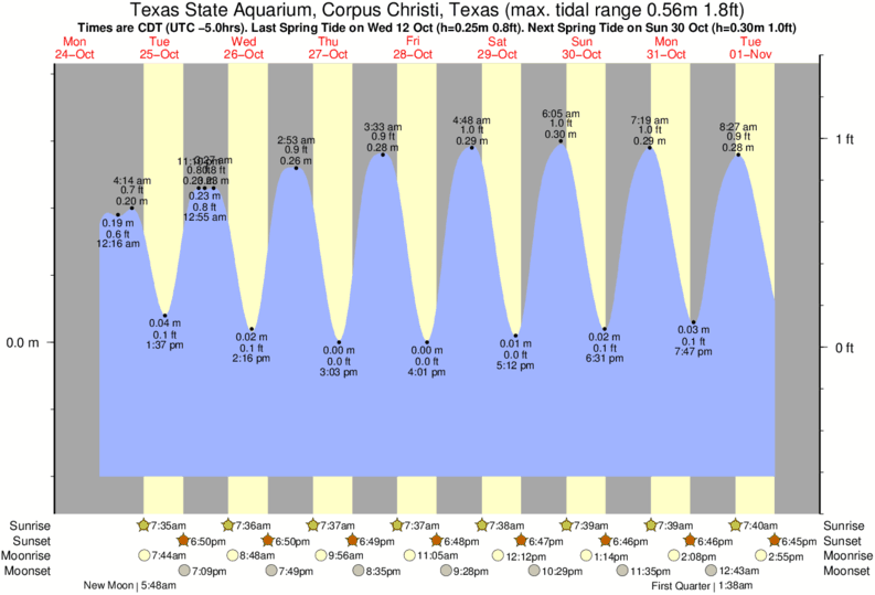 tide-times-and-tide-chart-for-texas-state-aquarium-corpus-christi