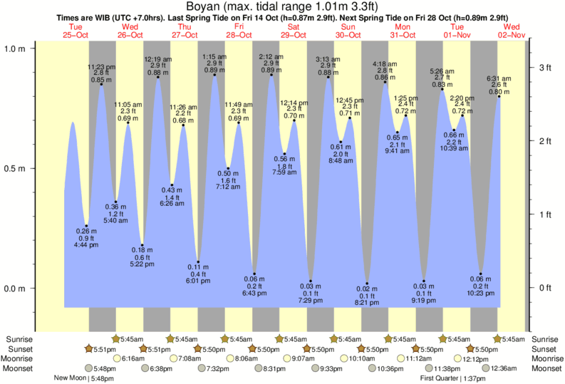 Tide Times and Tide Chart for Boyan