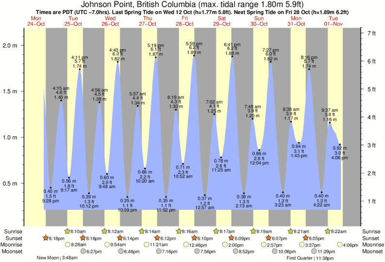 Tide Times and Tide Chart for Johnson Point