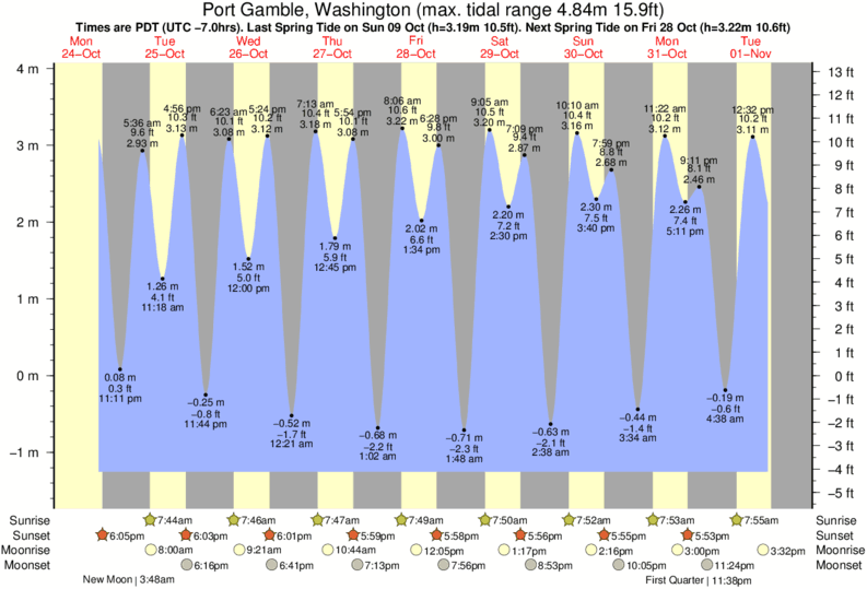 tide-times-and-tide-chart-for-port-gamble