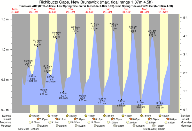 Tide Times and Tide Chart for Richibucto Cape