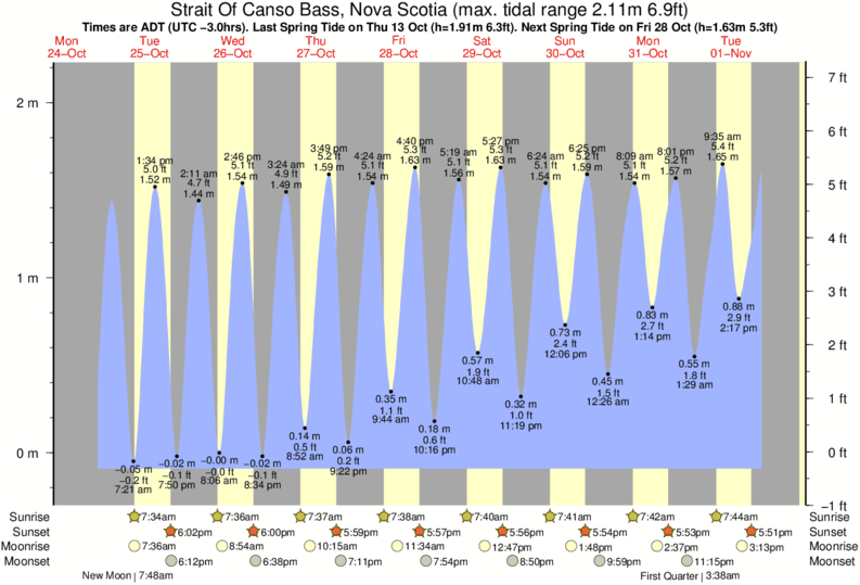 Tide Times and Tide Chart for Strait Of Canso Bass