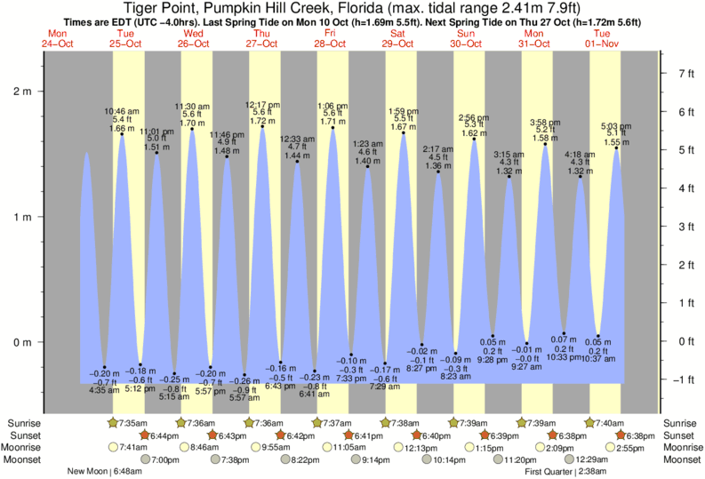 Jax Beach Tide Chart