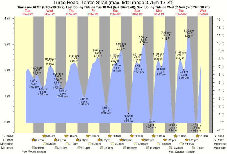 Tide Times and Tide Chart for Turtle Head